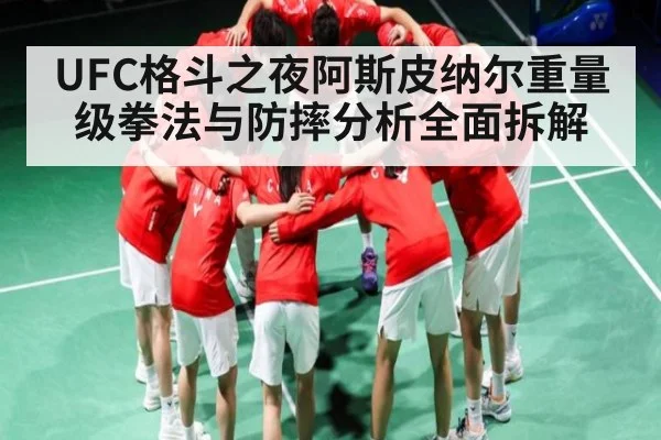 UFC格斗之夜阿斯皮纳尔重量级拳法与防摔分析全面拆解